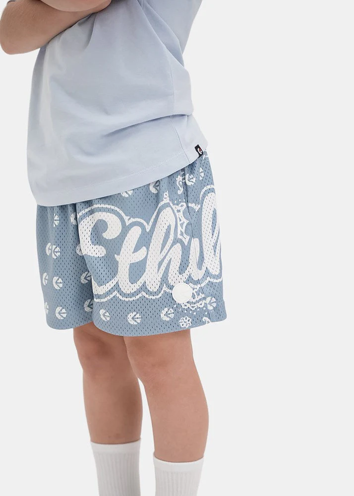 Ethika Boys Ice Banda Basketball Short - Image 3