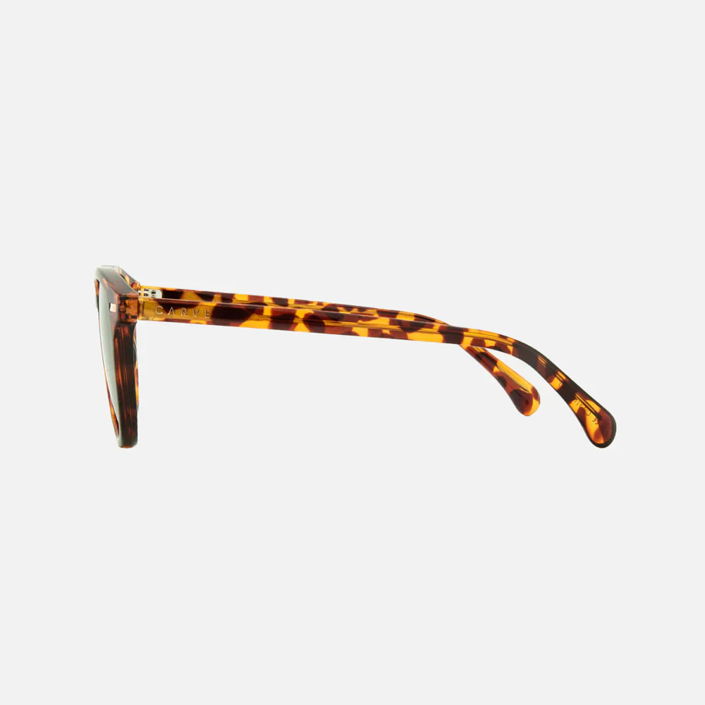 Carve Oslo Tort Grey Polarised - Image 3