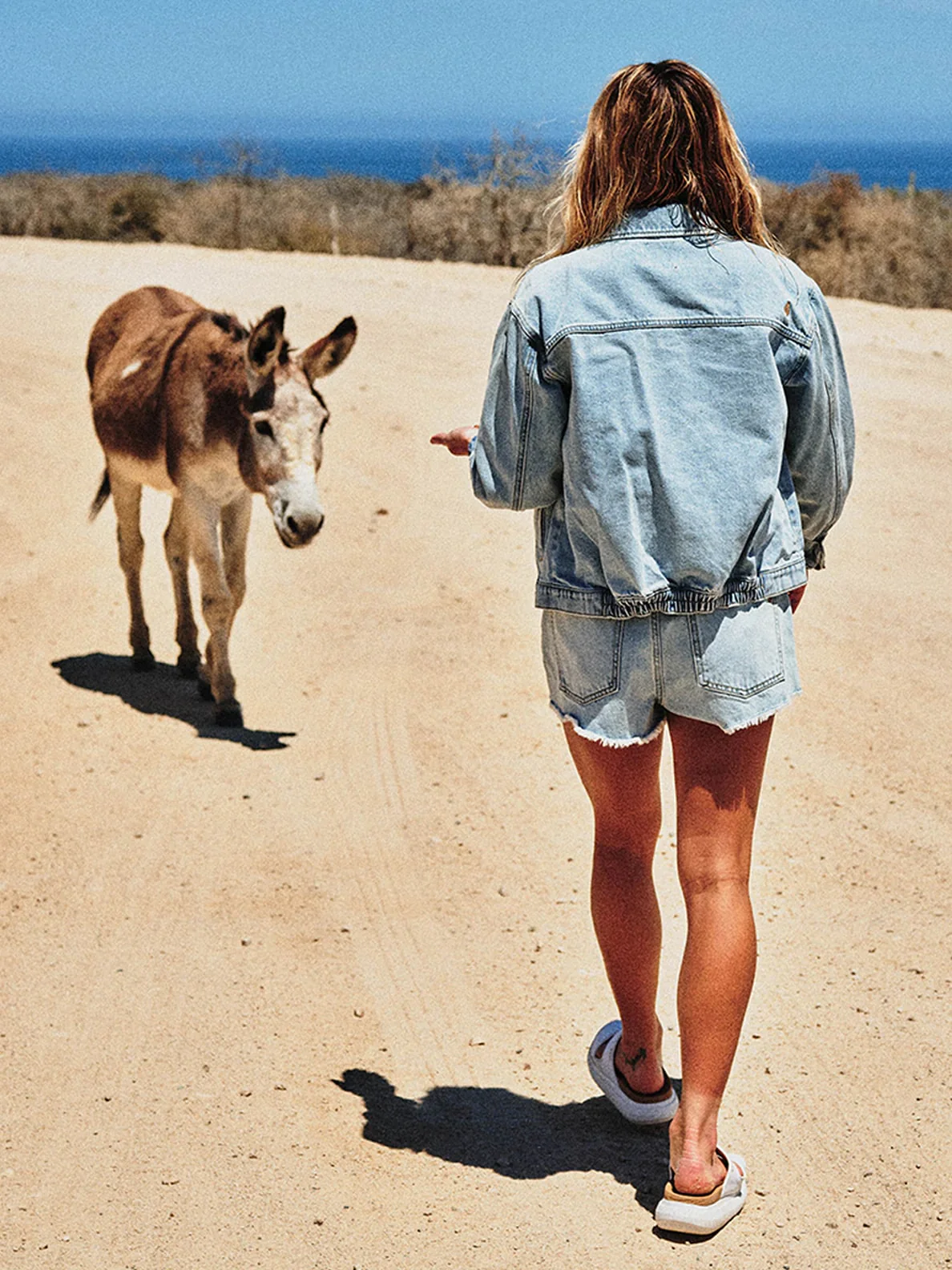 Volcom Coco Ho Denim Jacket - Image 5