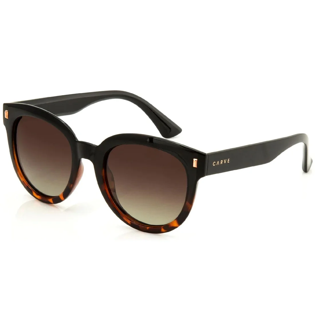 Carve Harpo Tort Brown Polarised