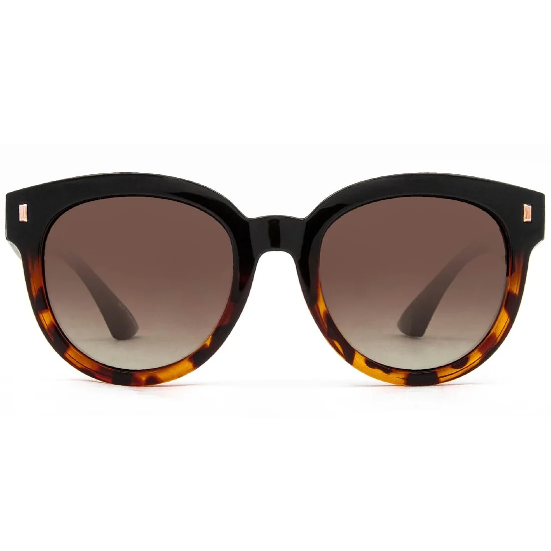 Carve Harpo Tort Brown Polarised - Image 2